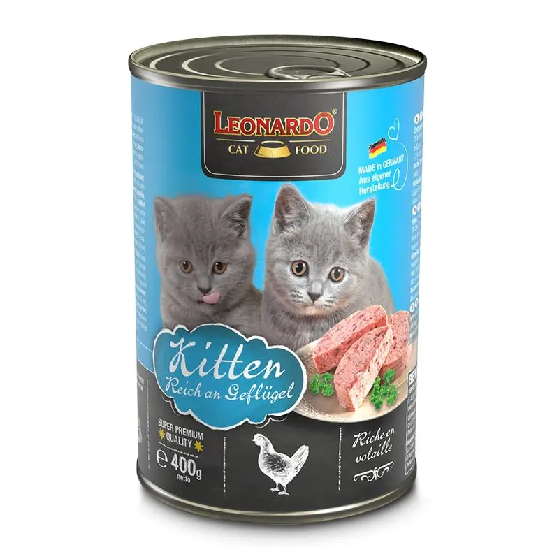 Leonardo quality selection kitten