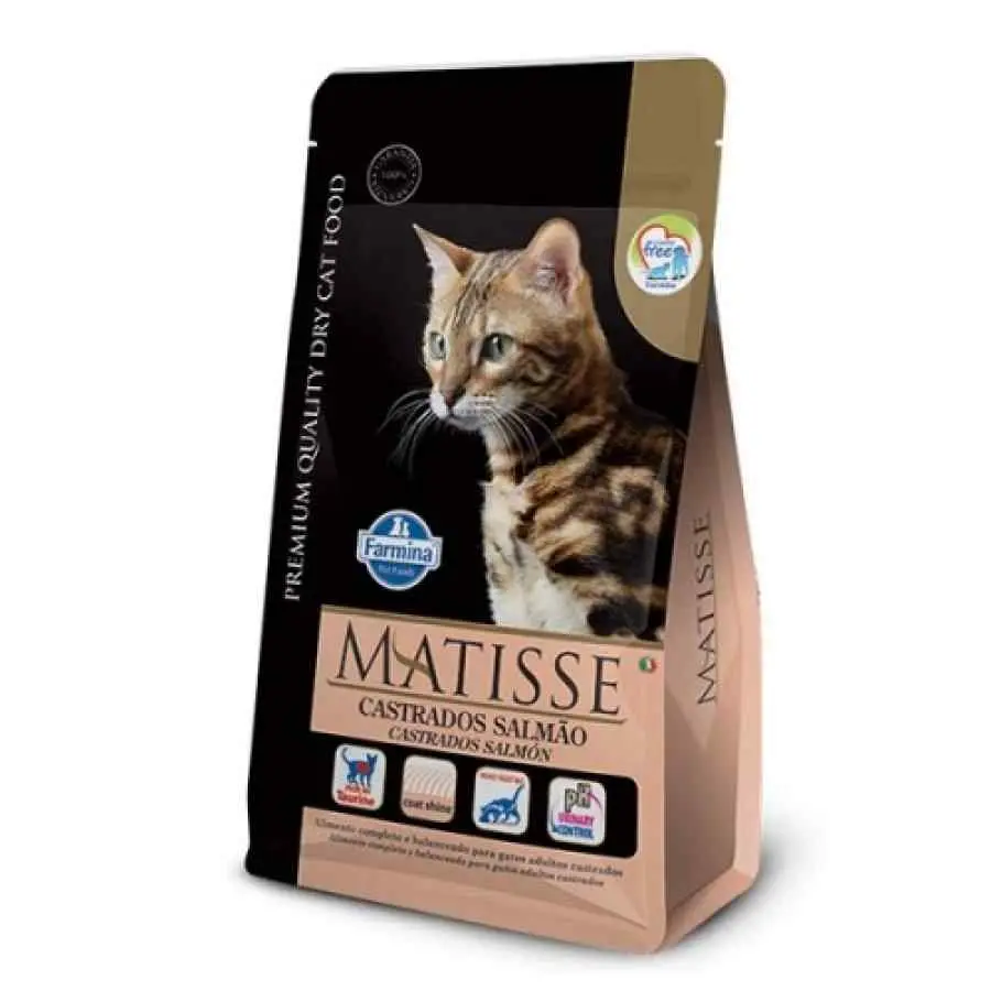 Matisse gato castrado salmon