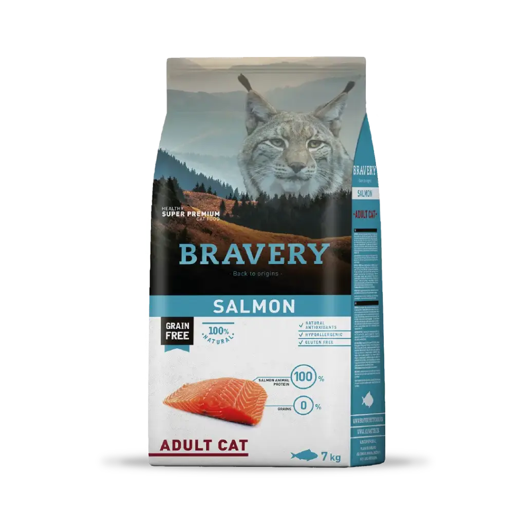Bravery salmon adult cat