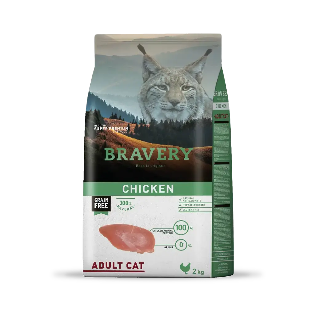 Bravery chicken adult cat