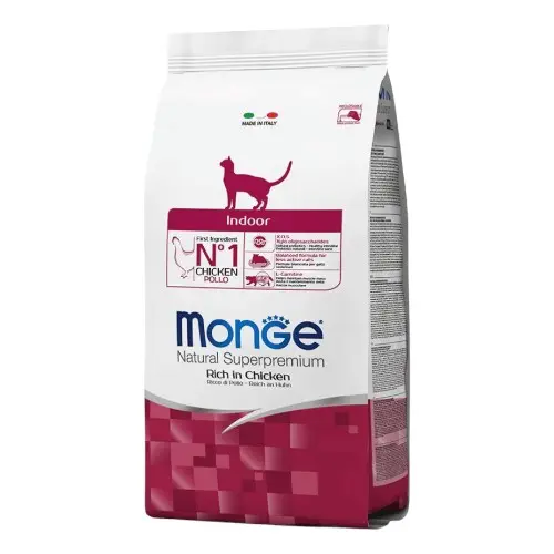 Monge gato indoor