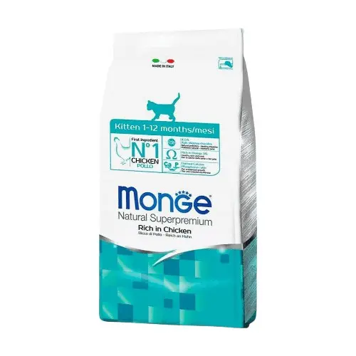 Monge kitten