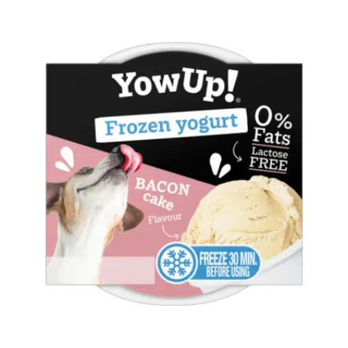 Yowup frozen yogurt bacon cake 110 gr