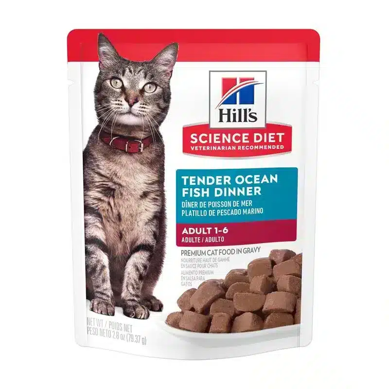 Hills SD feline adult tender ocean fish dinner 79.37 gr