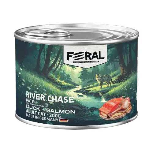 Feral gato adulto River Chase pate pato con salmon
