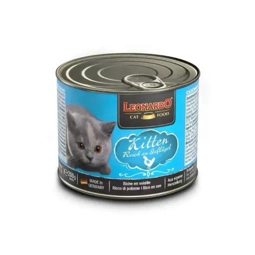 Leonardo quality selection kitten