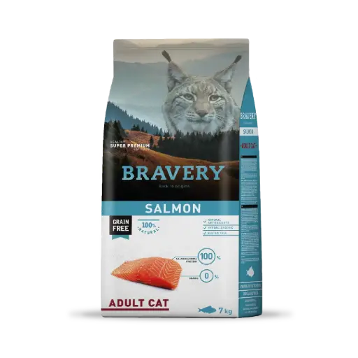 Bravery salmon adult cat
