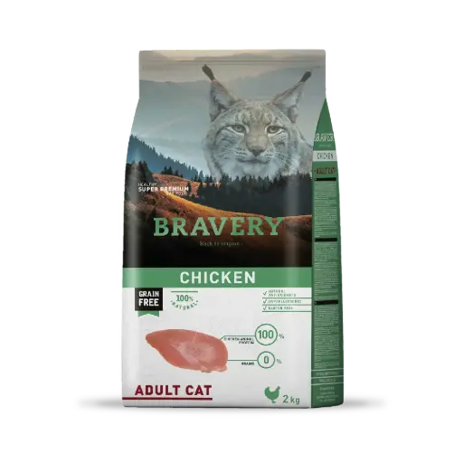 Bravery chicken adult cat