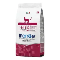 Monge gato indoor