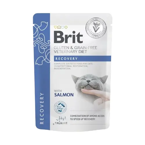 Brit gf vd cat pouch fillets in gravy recovery 85 gr