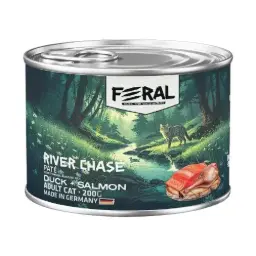 Feral gato adulto River Chase pate pato con salmon