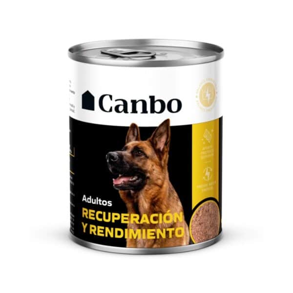 Canbo Enlatado Energético 330 g