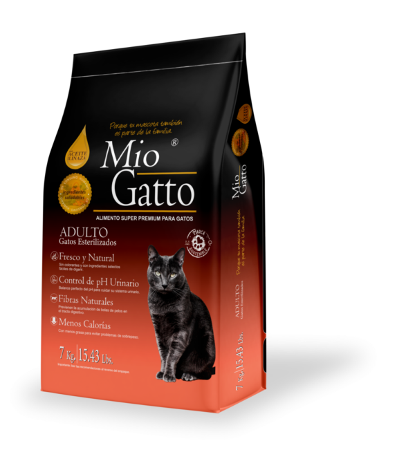 Mio Gatto