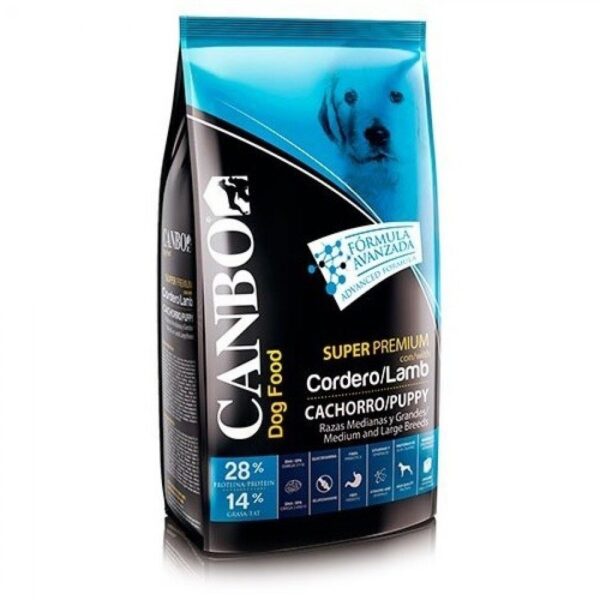 Canbo Cachorro Cordero razas med/gran
